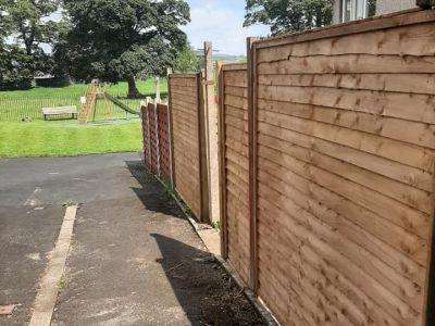 Garden Fencing